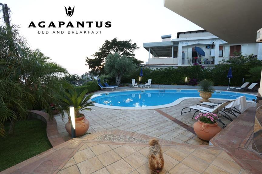 Agapantus Bed & Breakfast Bed and Breakfast Diamante Εξωτερικό φωτογραφία